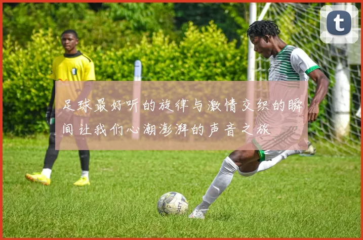 足球最好听的旋律与激情交织的瞬间让我们心潮澎湃的声音之旅