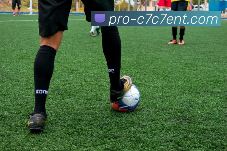 c7娱乐服务体系